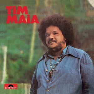 Tim Maia cover