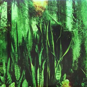 Wood/Water by The Promise Ring