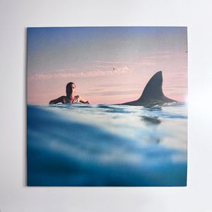 Radical Optimism cover