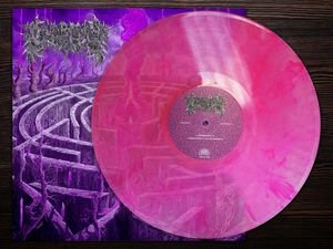 Civerous – Maze Envy