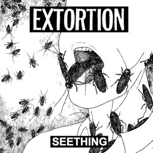 Seething cover