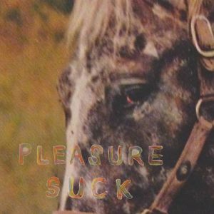 The Spirit Of The Beehive – Pleasure Suck