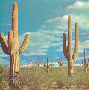 The State Of Art Is On Fire cover