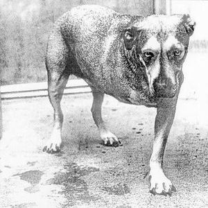 Alice In Chains by Alice In Chains Alice In Chains by Alice In Chains