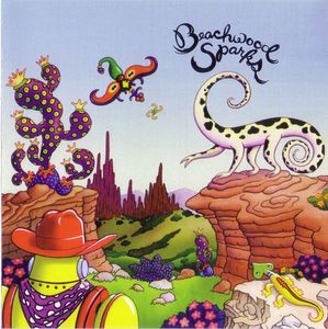 Make The Robot Cowboys Cry cover