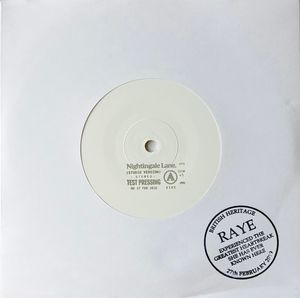 Raye – Nightingale Lane.