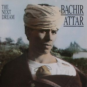 The Next Dream cover