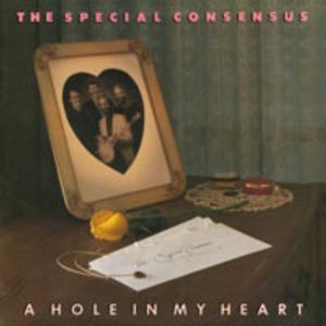 A Hole In My Heart cover