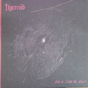 Nets To Catch The Wind cover