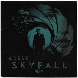 Skyfall cover