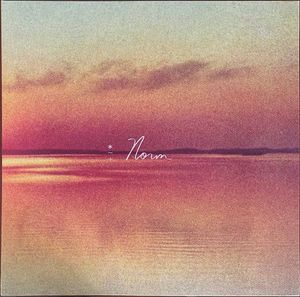 Andy Shauf – Norm