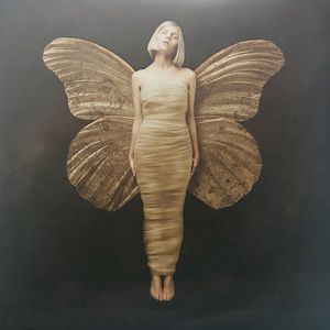 All My Demons Greeting Me As A Friend by Aurora