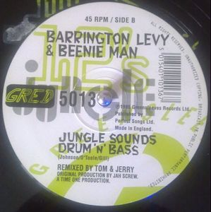 Two Sounds Jungle / Jungle Sounds Drum'n'bass (Tom & Jerry Remixes) cover