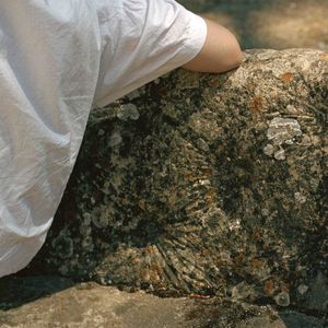 Tender Membranes cover