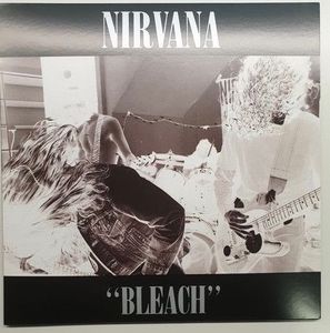 Bleach cover