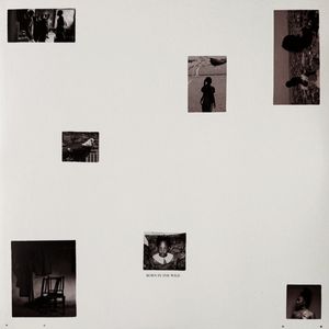 Born In The Wild cover