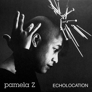 Pamela Z – Echolocation