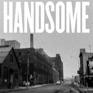 Handsome cover