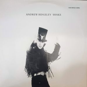 Shake by Andrew Ridgeley