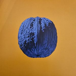 L'Albero Delle Noci cover