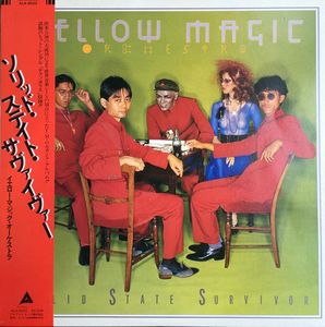 Solid State Survivor cover