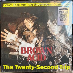 Brown Acid: The Twenty-Second Trip (Heavy Rock From The Underground Comedown) by Various