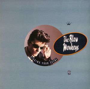 The Blow Monkeys – Digging Your Scene