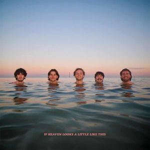 If Heaven Looks A Little Like This  cover