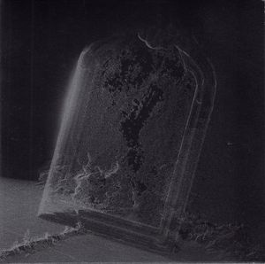 Visible Cloaks – Paradessence