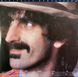 You Are What You Is cover