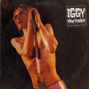 Raw Power cover