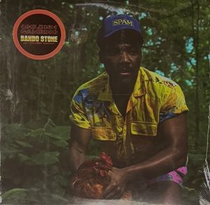 Bando Stone And The New World cover