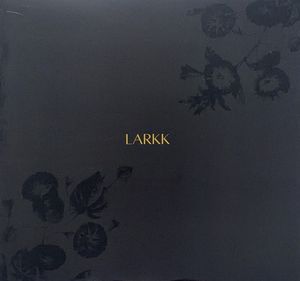 Cinders by Larkk