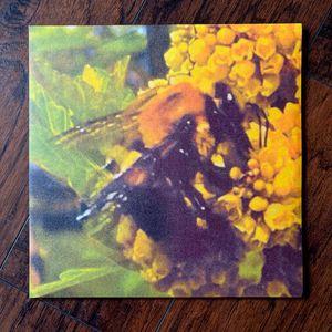 Natural Pleasure cover