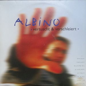 Vertuscht & Verschleiert cover