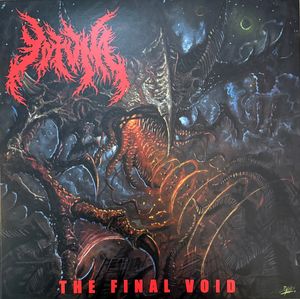 The Final Void cover