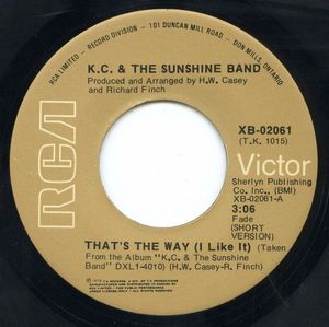 That's The Way (I Like It) cover