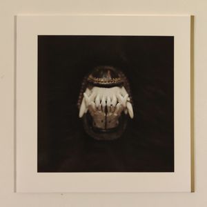 Amenra – De Toorn