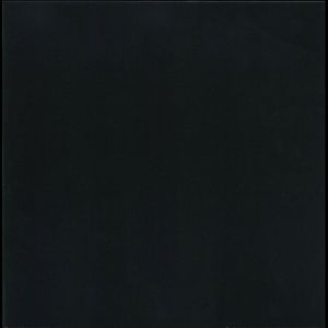 The Black Album cover