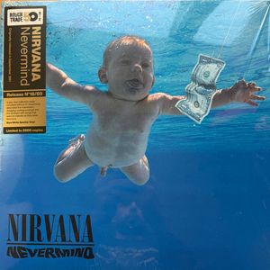 Nevermind cover