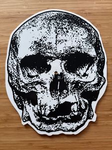 Skull Sessions cover