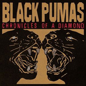 Chronicles Of A Diamond cover