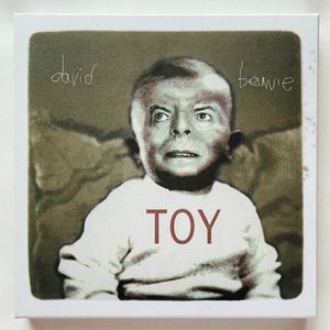 Toy cover