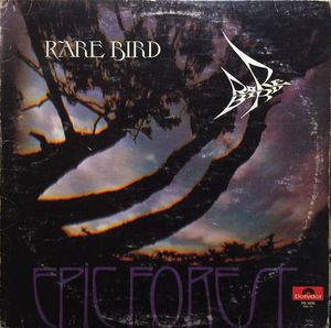 Rare Bird – Epic Forest