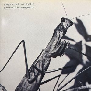 Courtney Barnett – Creature Of Habit
