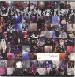 Still Becoming Apart cover
