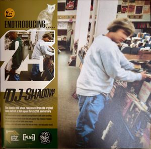 Endtroducing..... cover