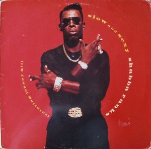 Shabba Ranks – Slow And Sexy