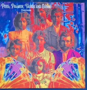 Synesthesia by Icarus Peel,  Steven Palmer,  Jay Tausig and  Rob Gould