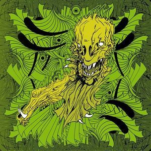 The Rise....The Fall cover